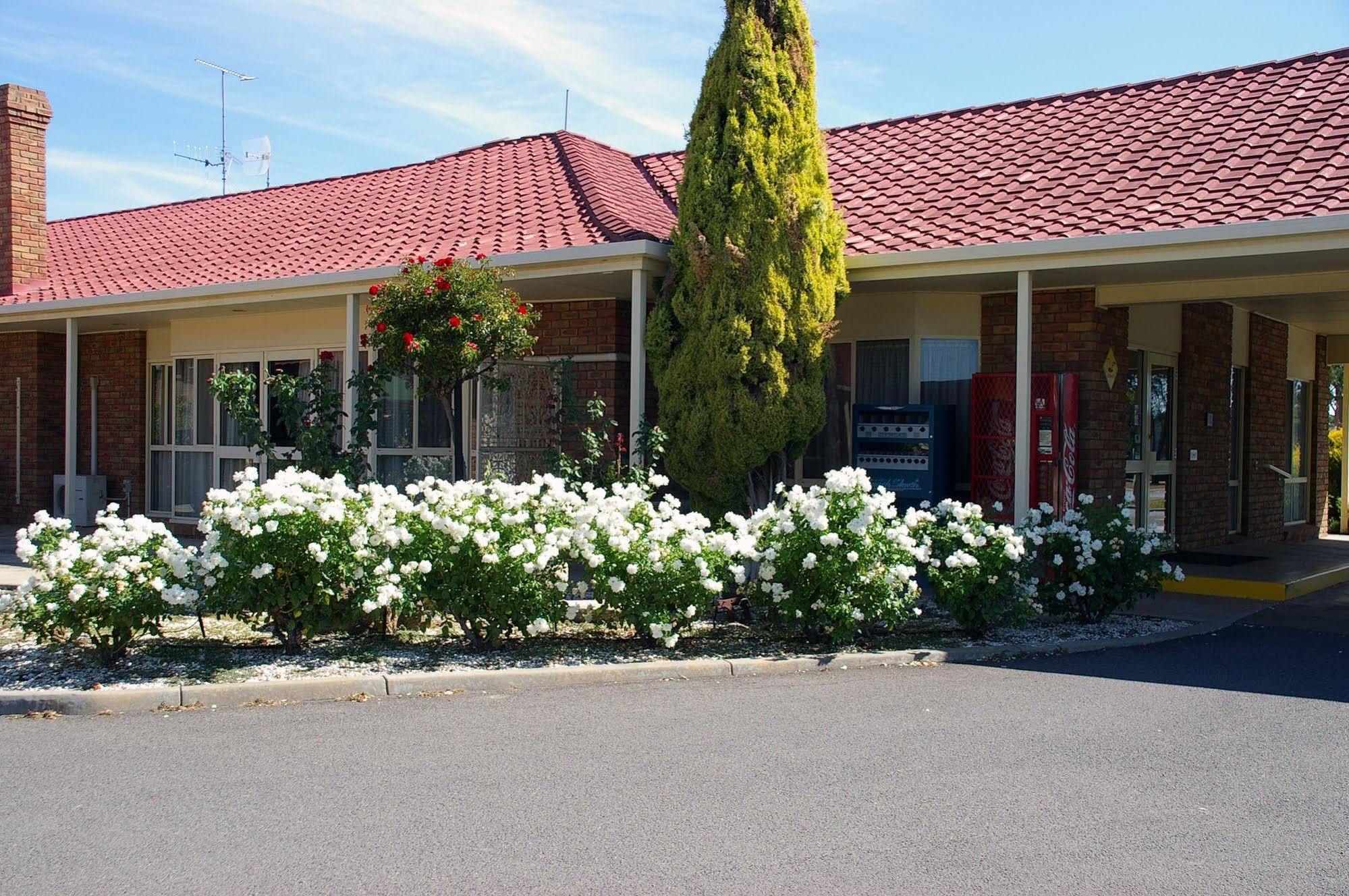 Pines Country Club Motor Inn Shepparton Exteriér fotografie